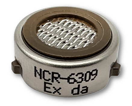 RKI NCR-6309